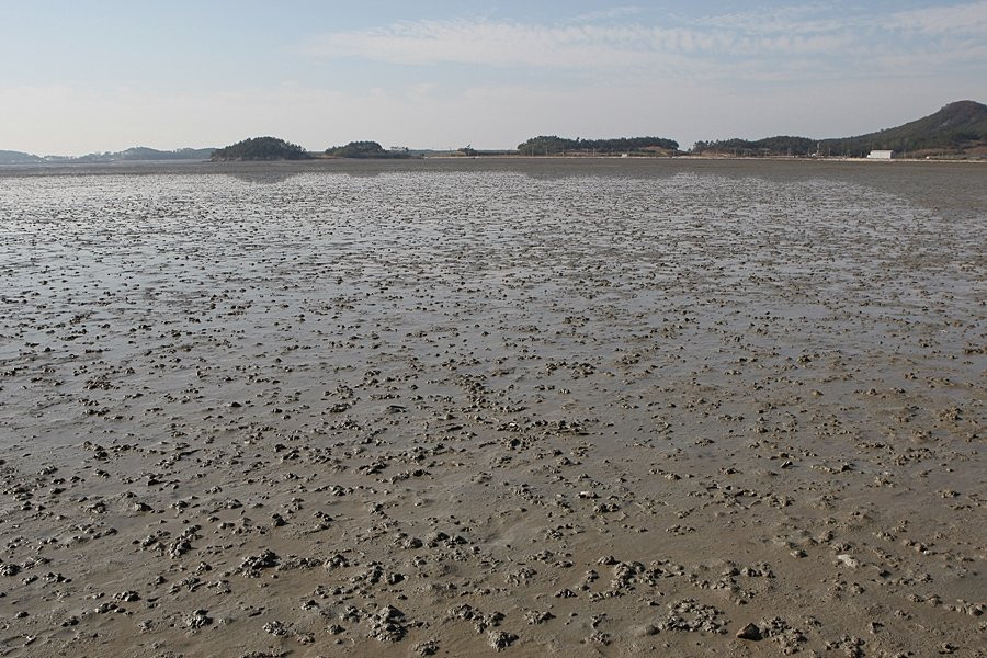 Hwado Nodugil-新安郡必去景点