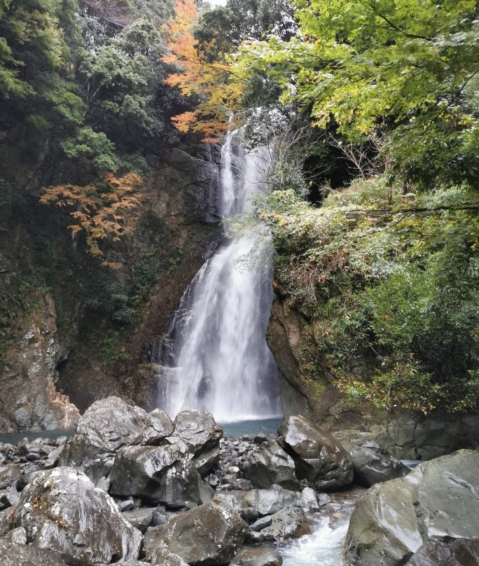 Otaki Falls景点图片