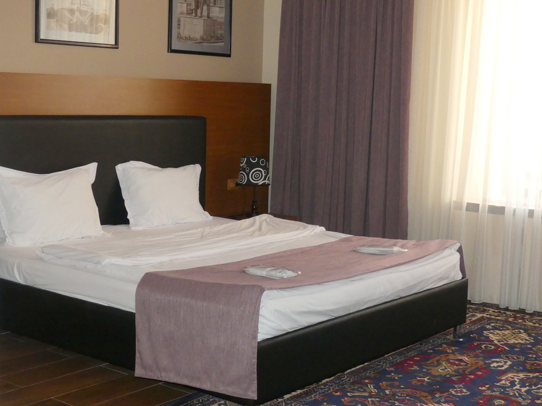 Hotel Plaza Viktoria主图