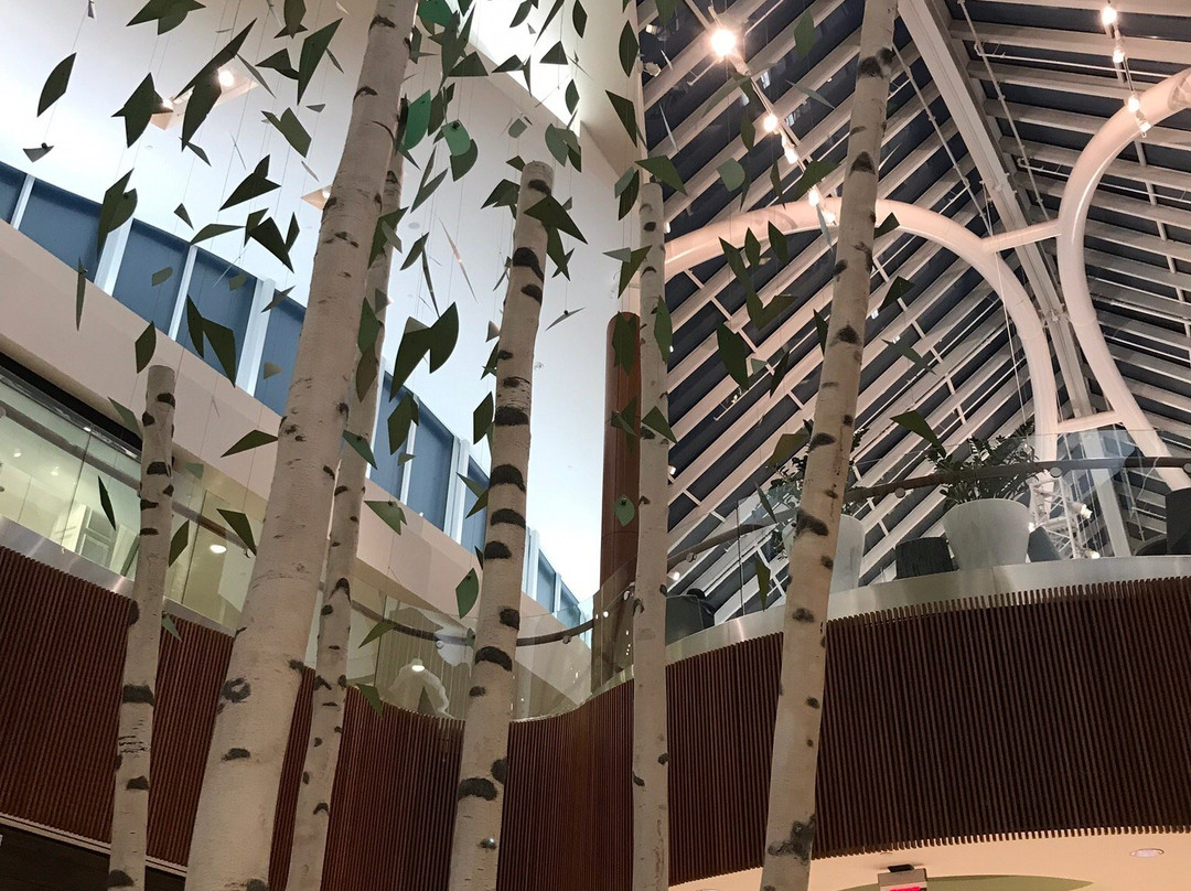 The Natick Mall-内蒂克必去景点