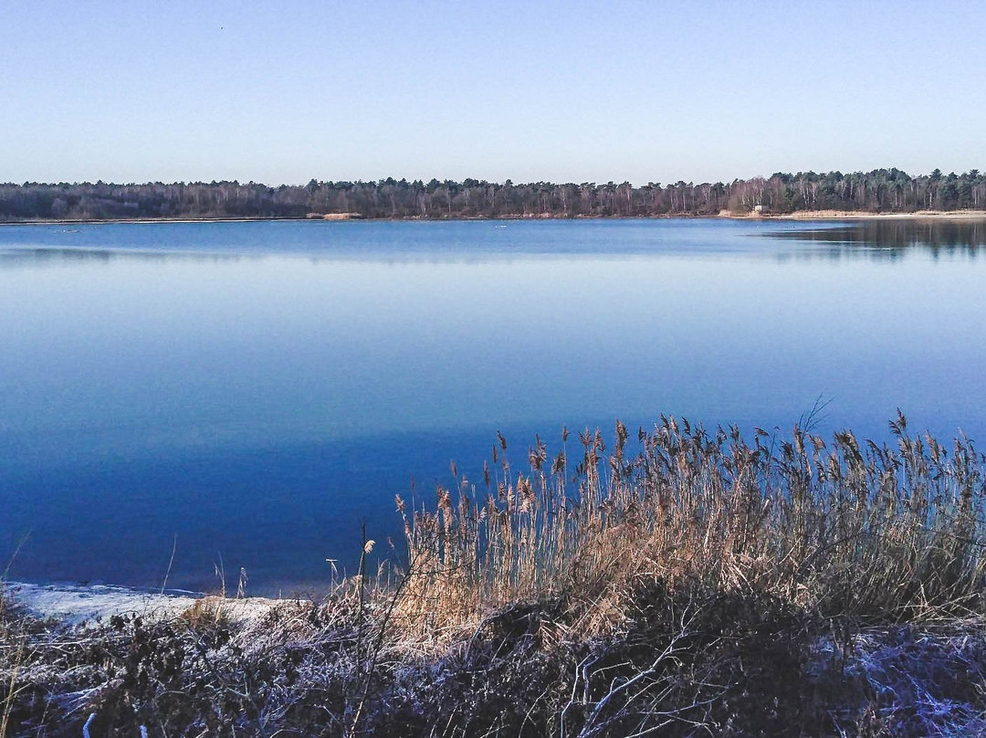 Beerse旅游攻略图片