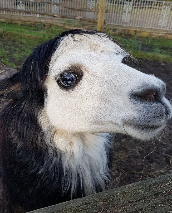 Pot House Hamlet-巴恩斯利必去景点