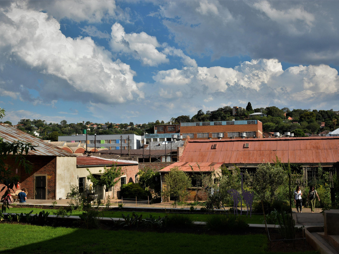 Jozibug Tours-约翰内斯堡必去景点