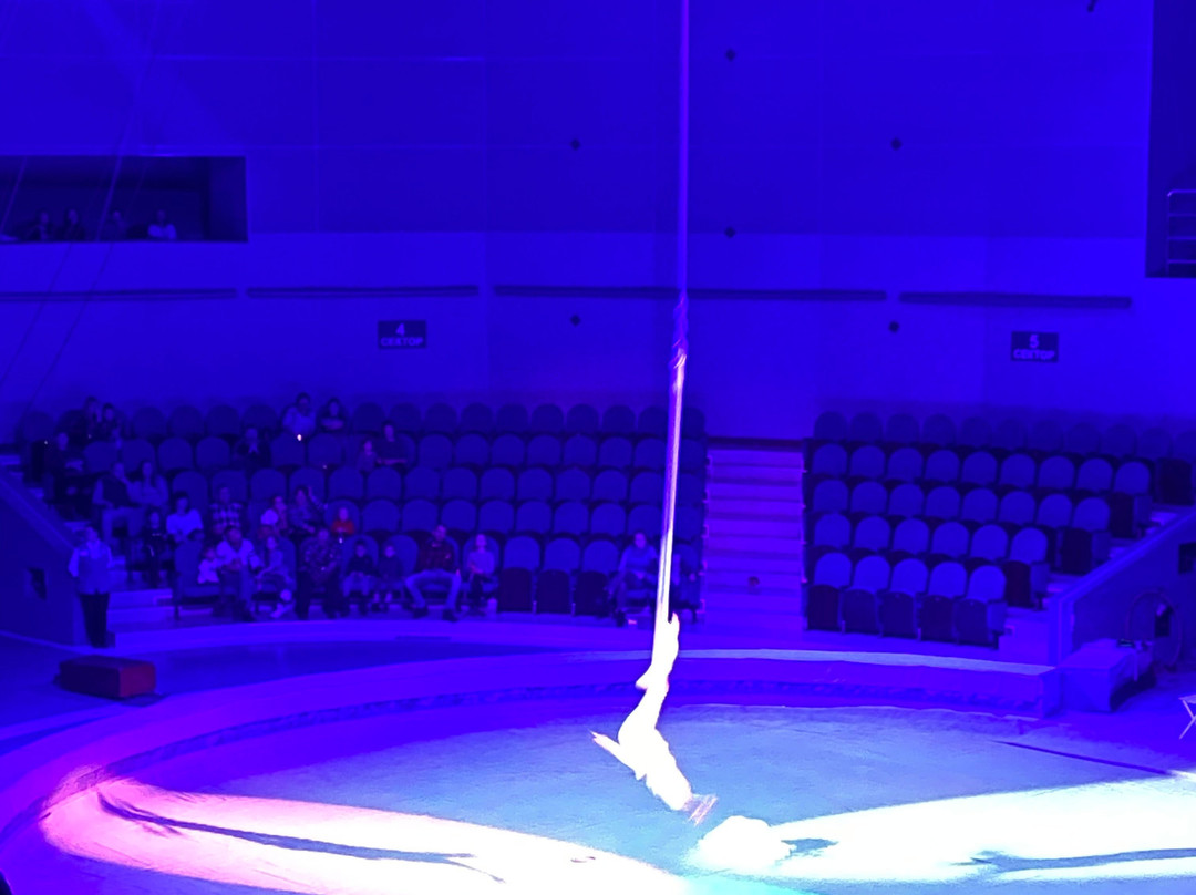 Vladivostok Circus-海参崴必去景点