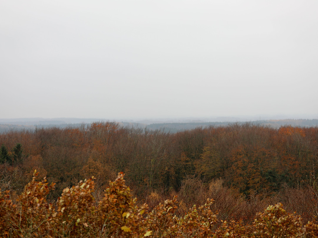 Aussichtsturm Kaiserberg景点图片