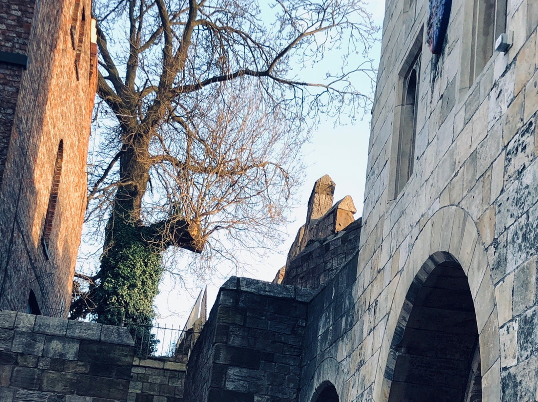 York School of Sewing景点图片