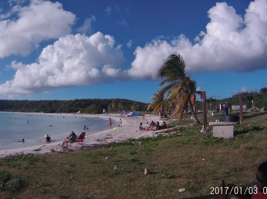 Vieques National Wildlife Refuge-维切克岛必去景点