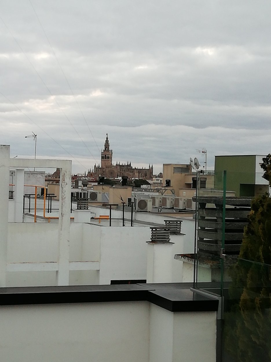 塞维利亚泽尼特酒店-portrait