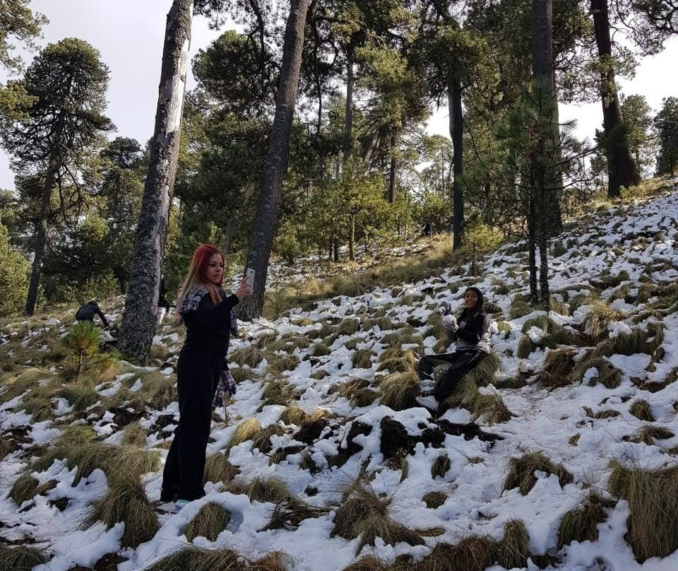 Nevado de Toluca景点图片