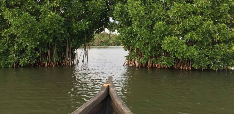 Munroe Paradise主图