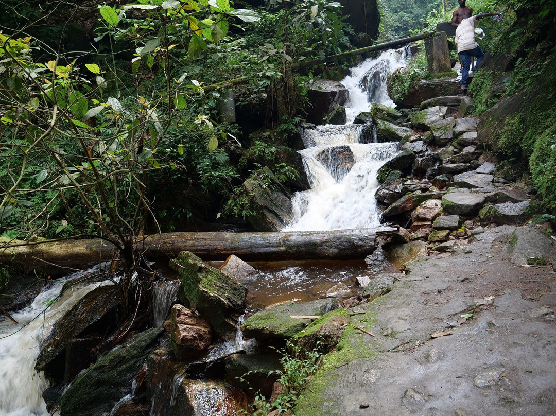 Erin Ijesha Waterfall (Olumirin Waterfalls)-Ijebu-Jesa必去景点