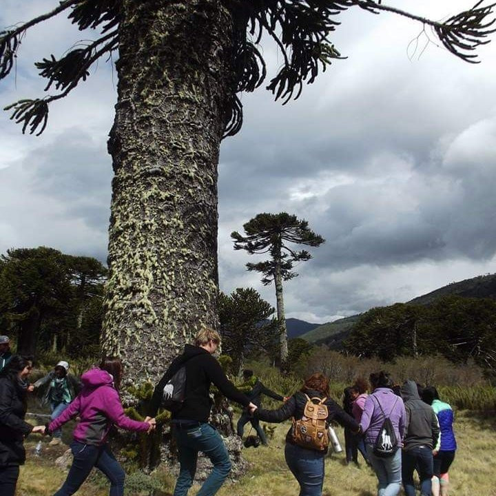 Parque Nacional Conguillio-Melipeuco必去景点