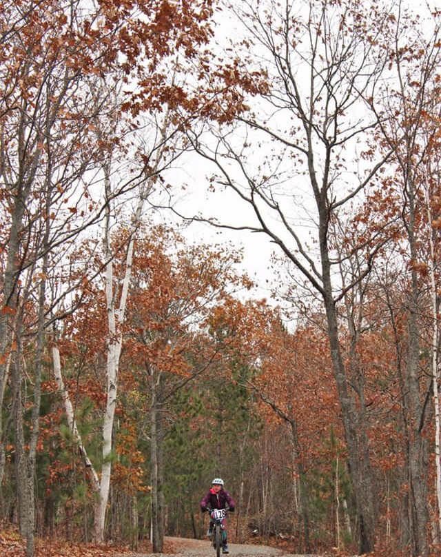 Kivi Park-Sudbury必去景点