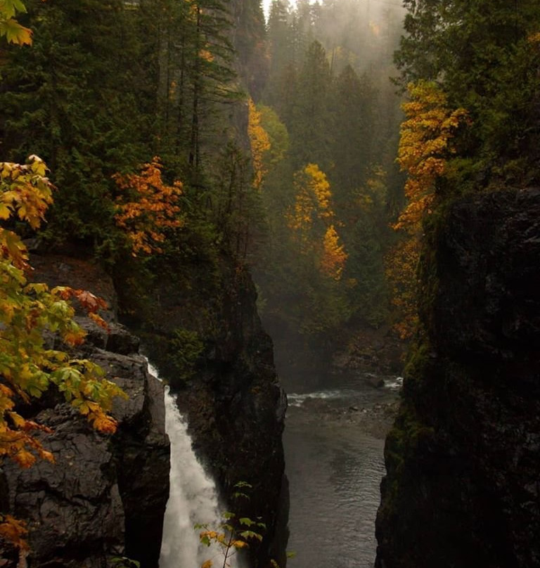 Elk Falls Suspension Bridge景点图片