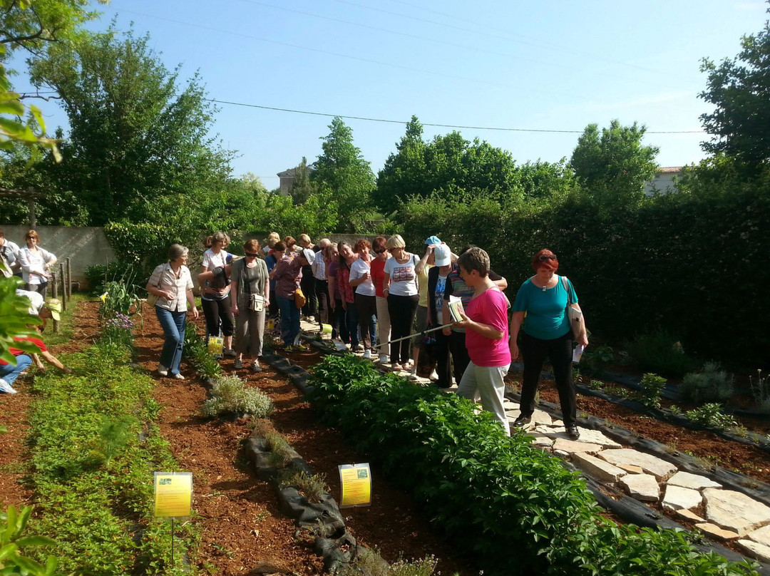 Zeliscna Kmetija Rogelja-Kostanjevica na Krasu必去景点