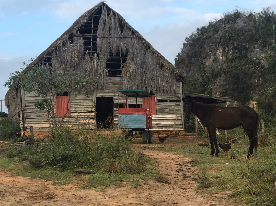 The Vinales Experience, Cuba-维纳勒斯必去景点