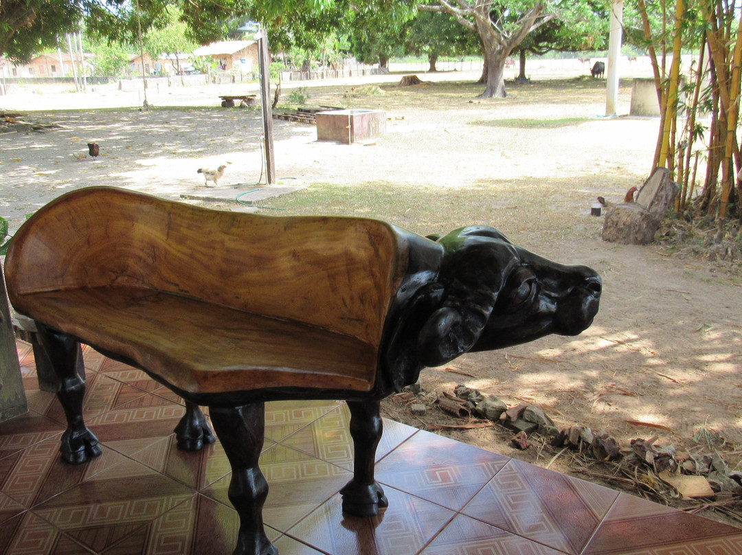 Araruna Farm-Soure必去景点