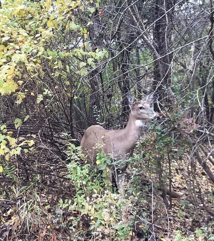 Paint Creek Trail-罗切斯特必去景点