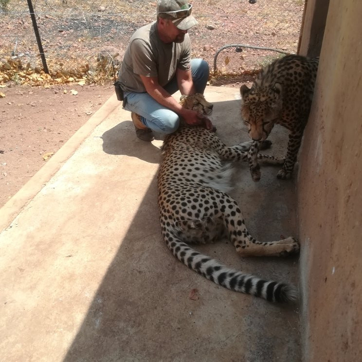 Pilanesberg National Park-太阳城必去景点