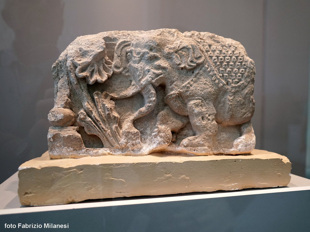 Archeological Museum-铁尔梅兹必去景点