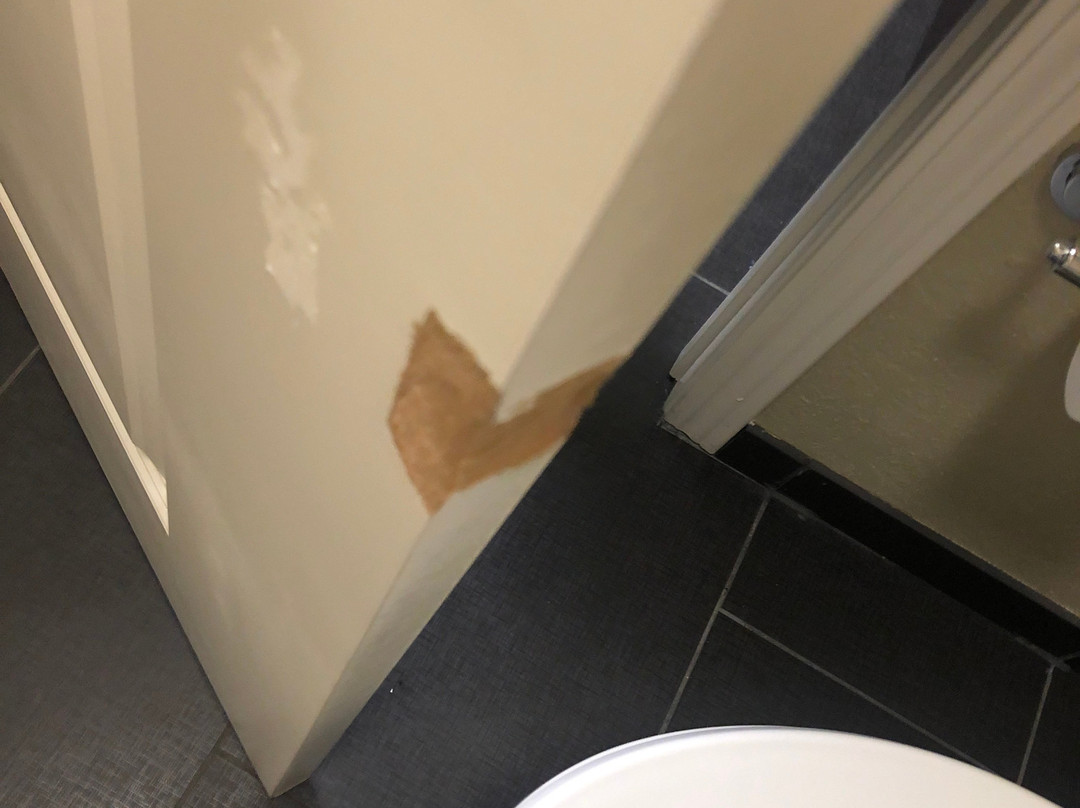 Staybridge Suites Mt. Juliet - Nashville Area主图