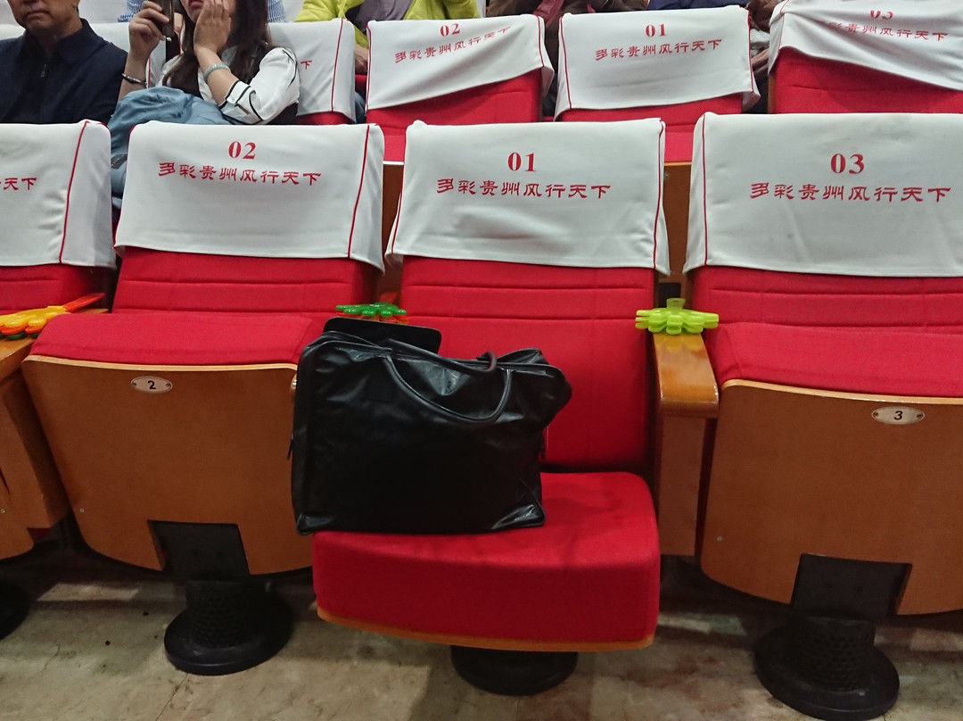 贵阳大剧院景点图片