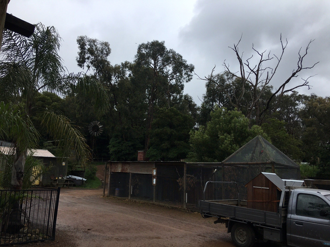 A Twist Of Willow主图