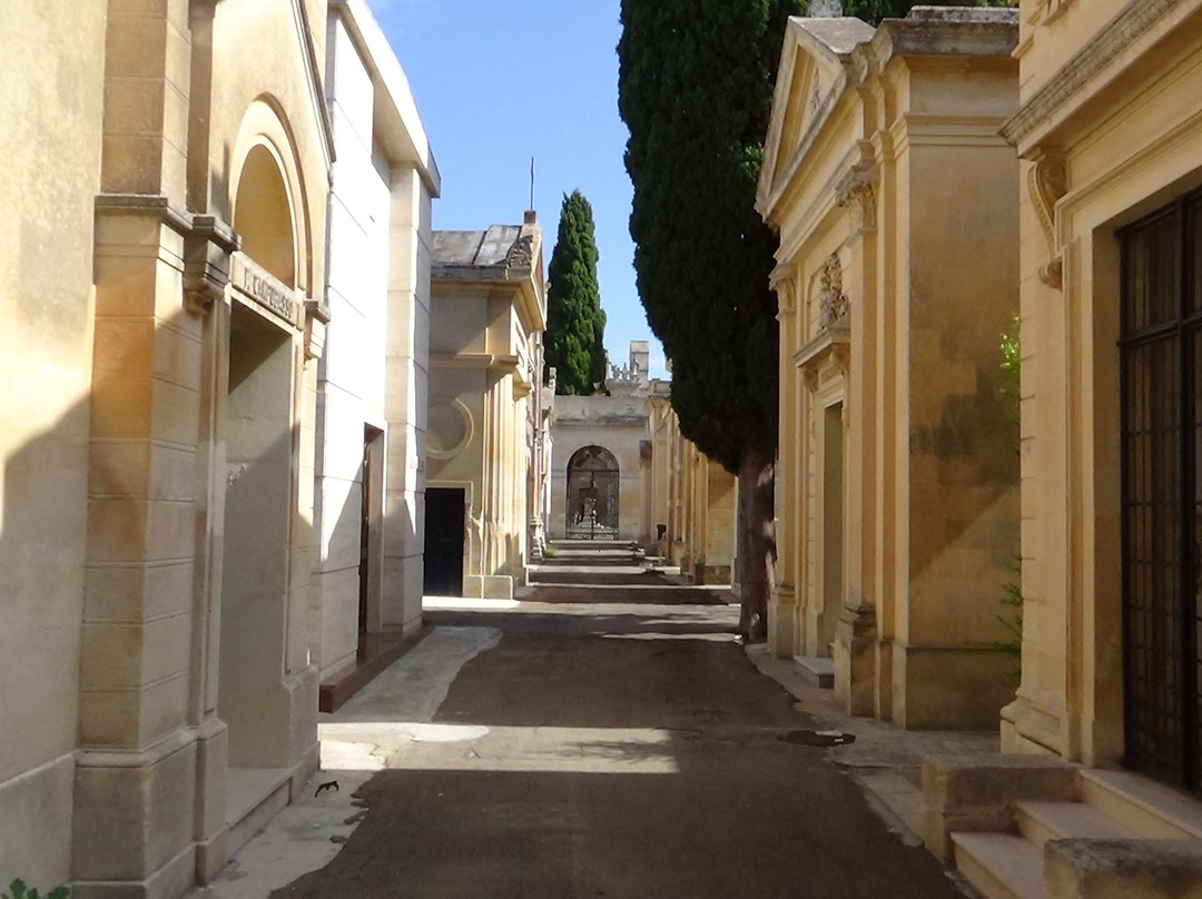Cimitero Cittadino-莱切必去景点
