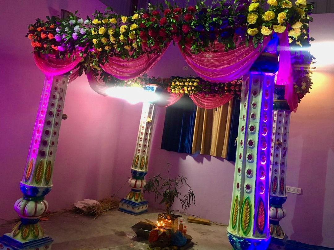 The Royal Panacea主图