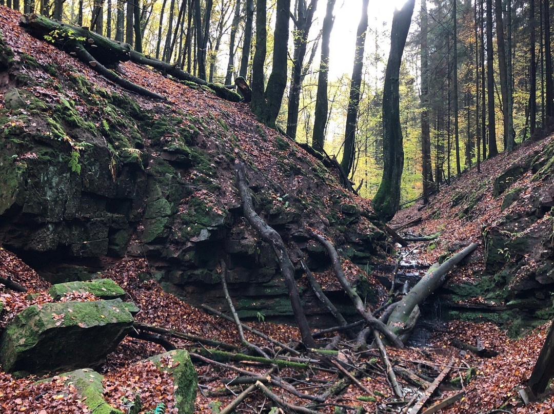 Elendsklamm-Bruchmuehlbach-Miesau必去景点