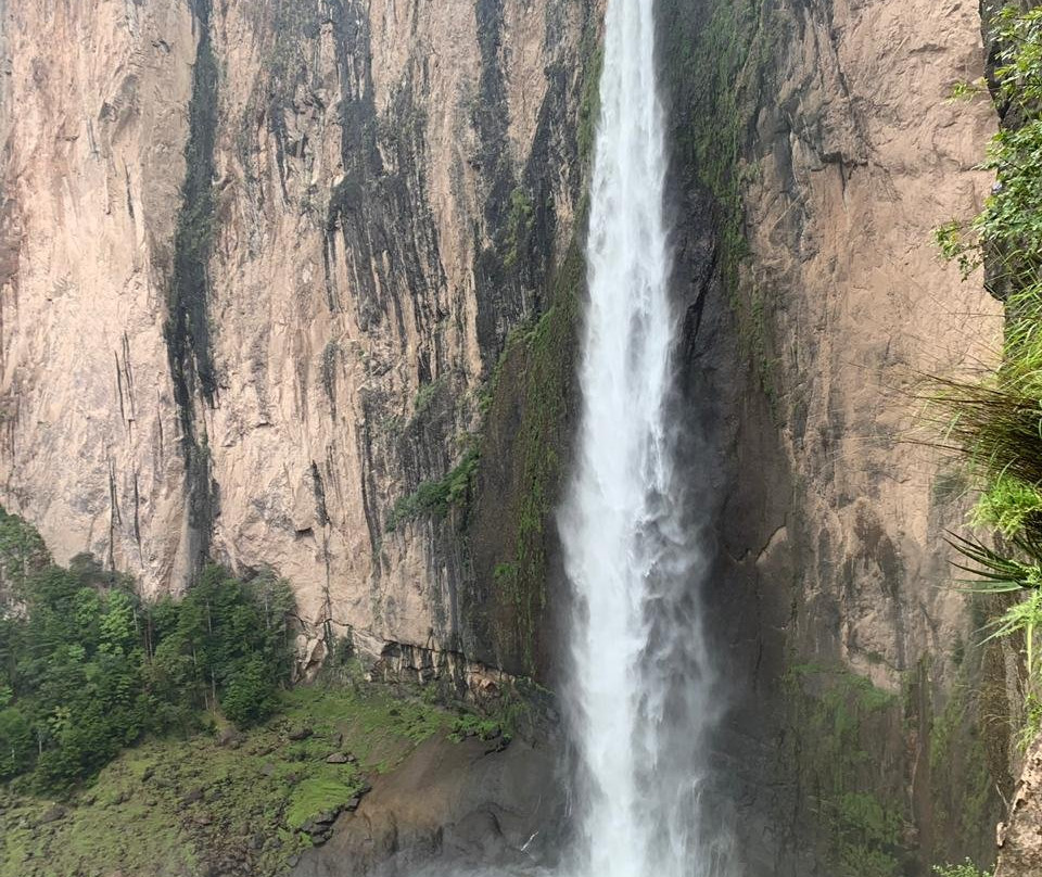 Cascada de Basaseachi National Park景点图片