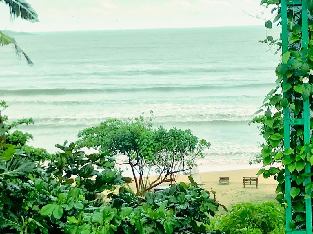 The Surfer Surf Camp Sri Lanka主图