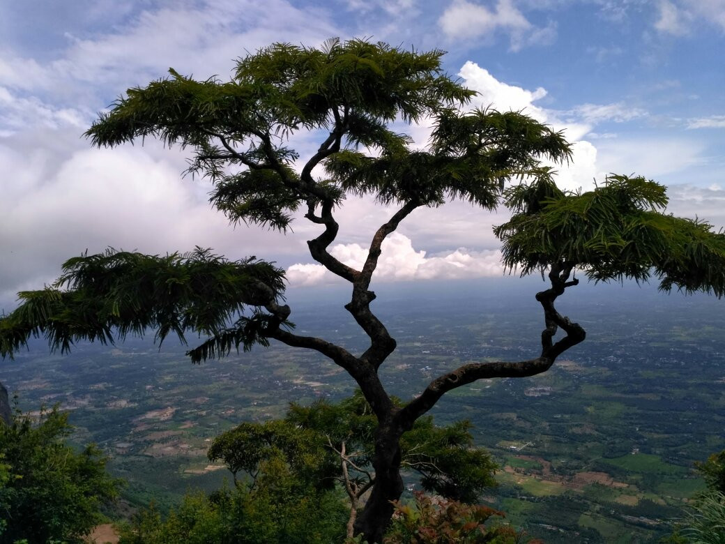 Meenampara View Point-Nelliyampathy必去景点