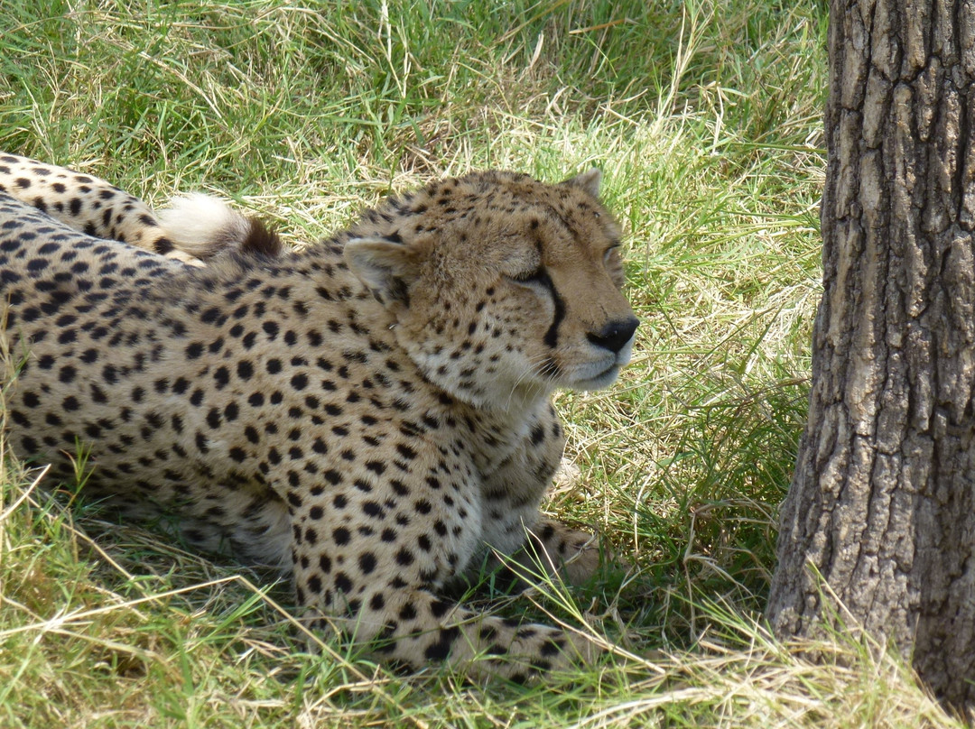 The Infinite Horizon-阿鲁沙必去景点