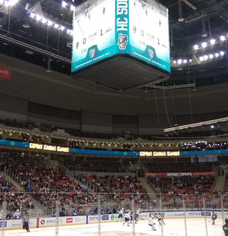 Bolshoy Ice Dome-艾德勒必去景点