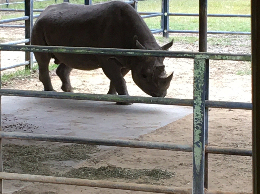 White Oak Conservation Center-Yulee必去景点