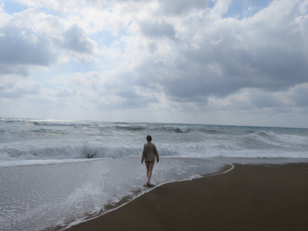 Toxeftra Beach-帕福斯必去景点