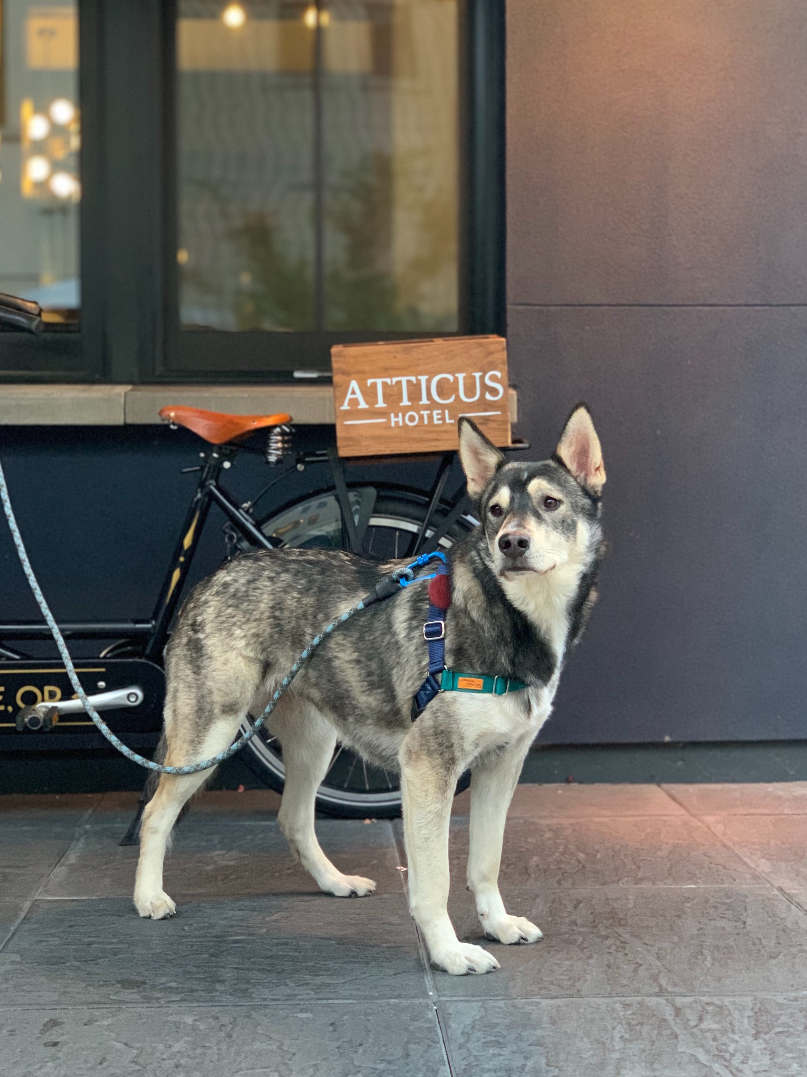 Atticus Hotel-浴室