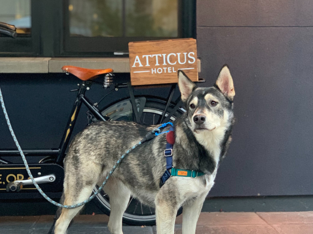 Atticus Hotel主图