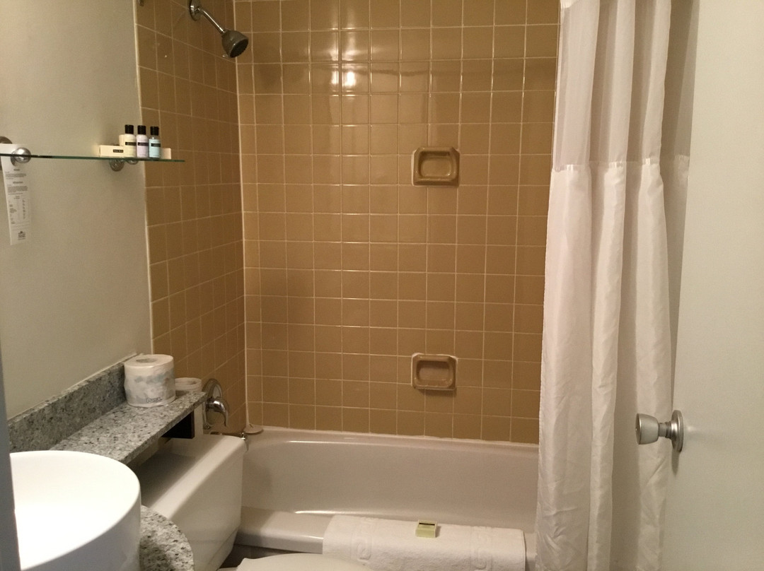 罗德蒙克顿酒店主图