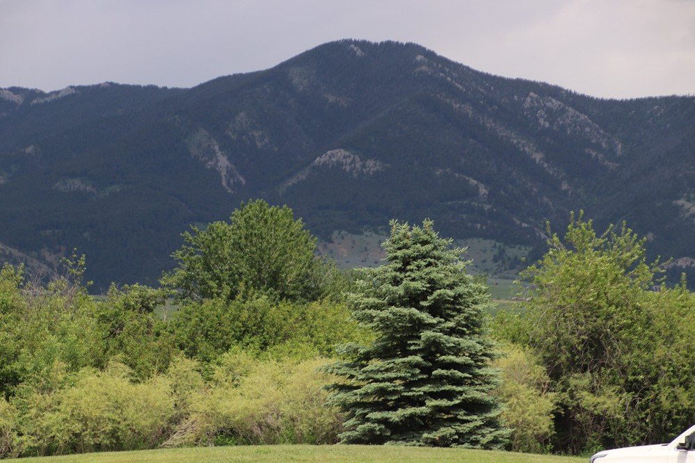 Glen Lake Rotary Park - Bozeman Beach (formerly East Gallatin Recreation Area)-博兹曼必去景点