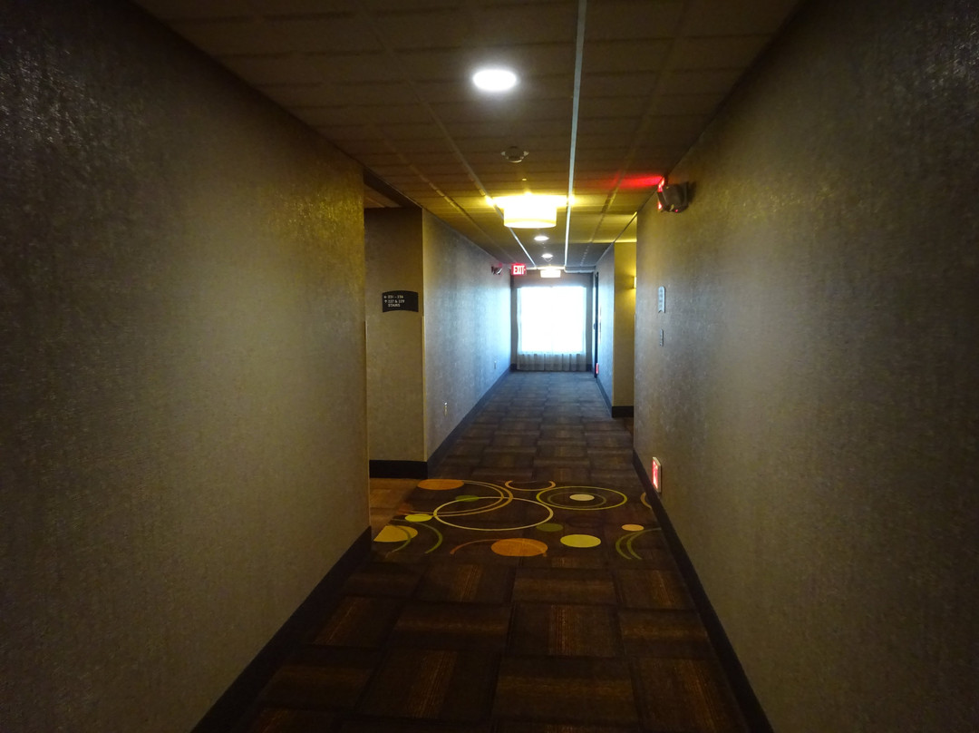 Staybridge Suites Cheyenne By IHG主图