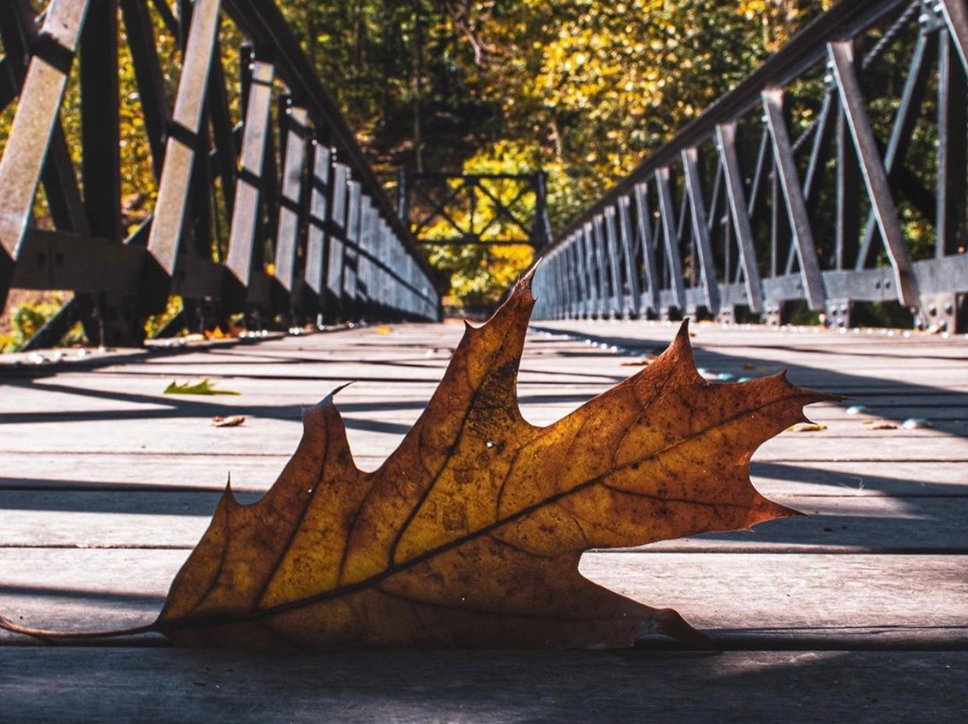 Brandywine Park-威尔明顿必去景点