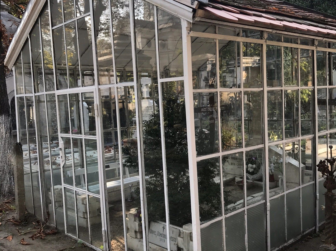 Bellu Cemetery (Cimitirul Șerban Vodă-Bellu)-布加勒斯特必去景点