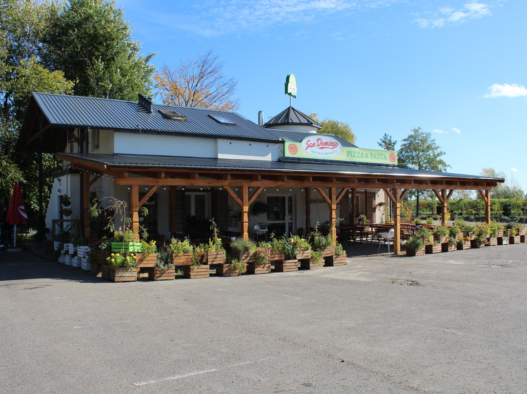 Pizzeria San Domingo