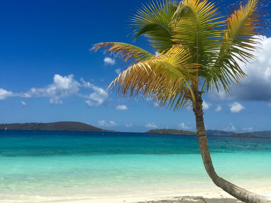 Antilles EcoQuest-Havensight必去景点