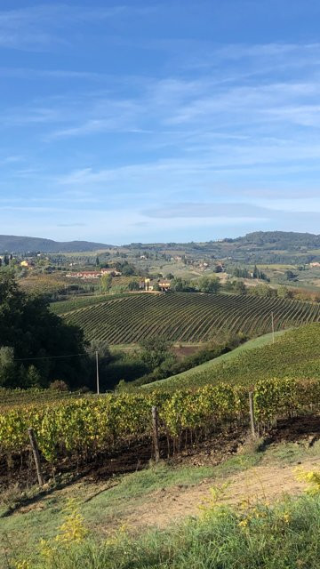 Professional Tour Tuscany - Tours景点图片