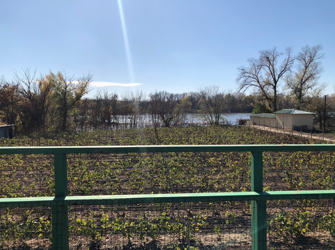 Vinograd-Kilyakovka必去景点