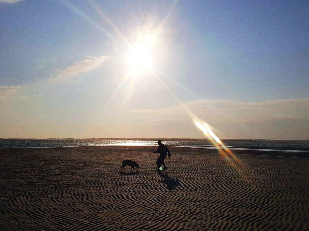 Sand Hills Beach Provincial Park景点图片