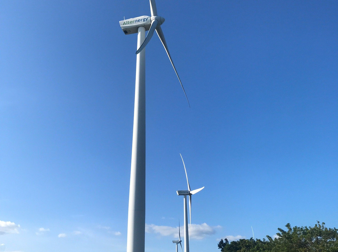 Windmill Farm景点图片